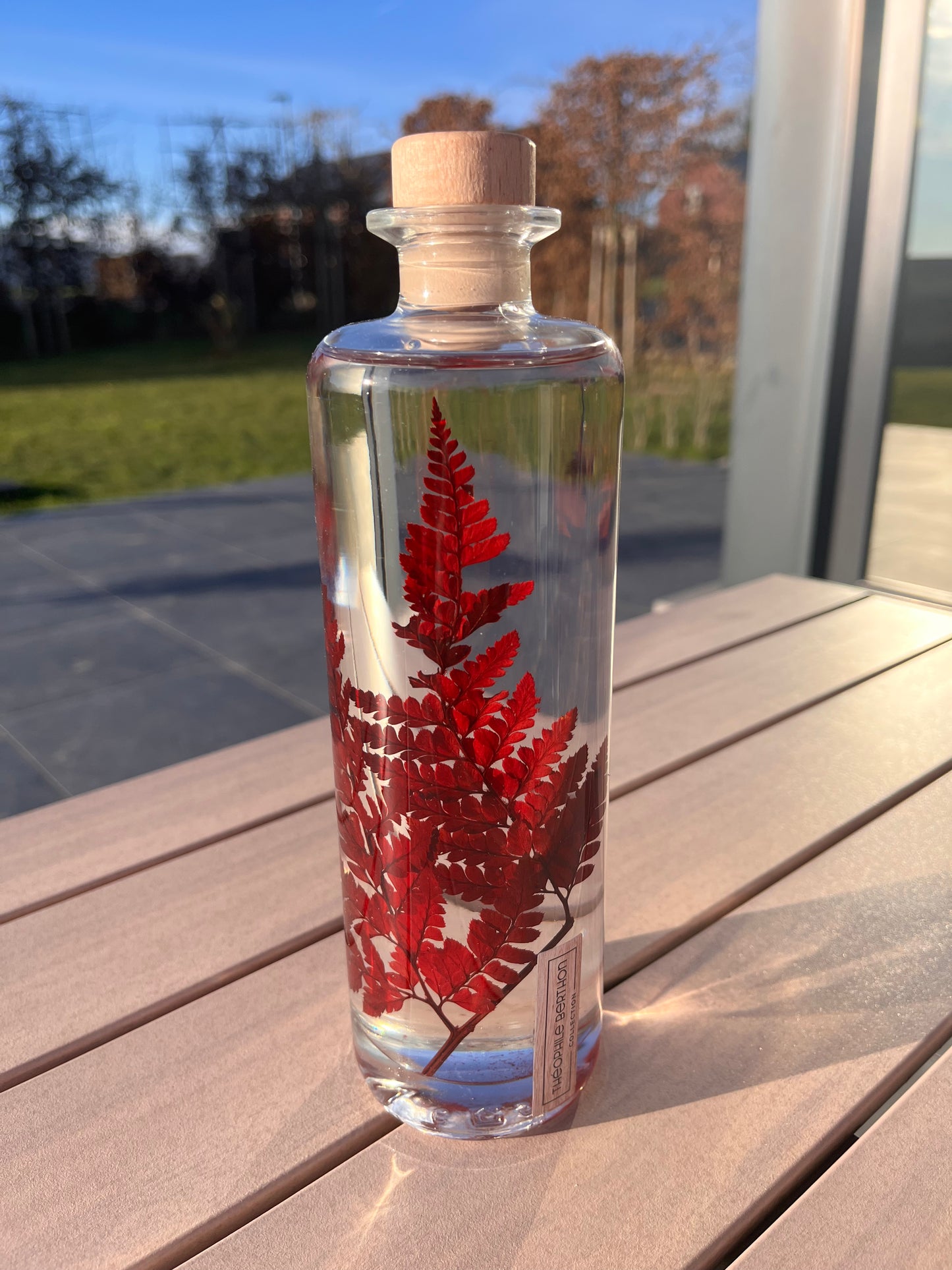 Plante immergée - Rumohra rouge