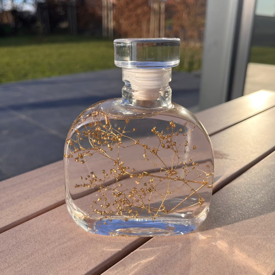 Plante immergée - Gypsophile Or