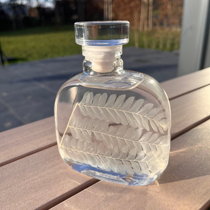 Plante immergée - Fougère cuir blanche