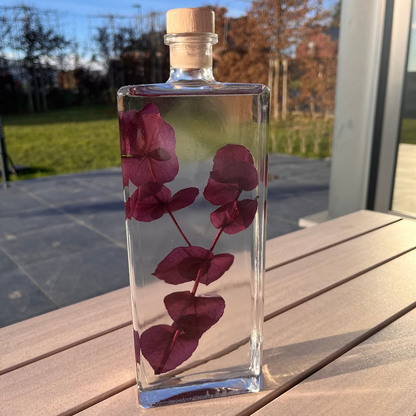 Plante immergée - Eucalyptus violet