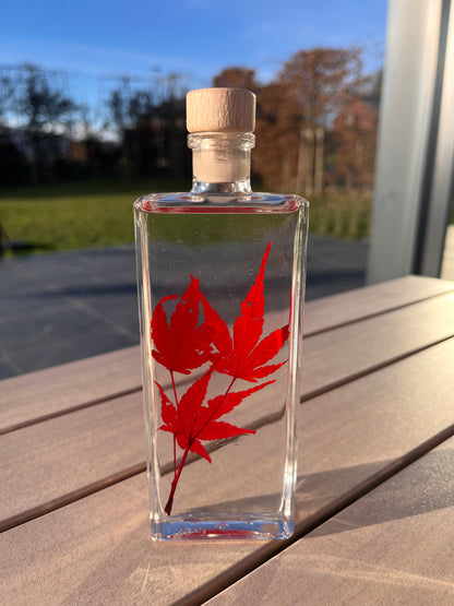 Plante immergée - Erable rouge