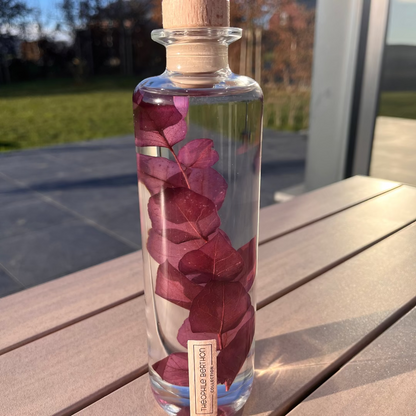 Plante immergée - Eucalyptus violet