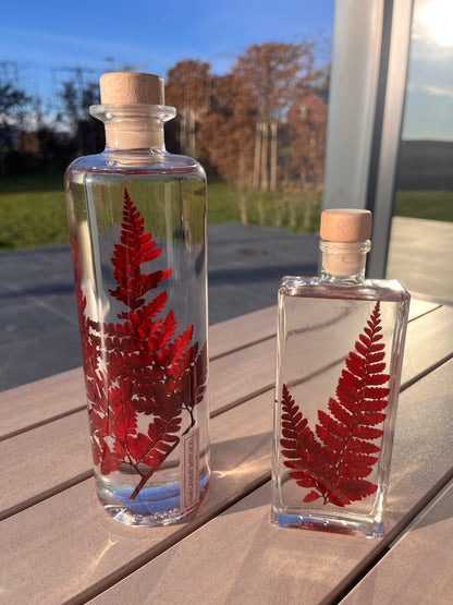 Plante immergée - Rumohra rouge