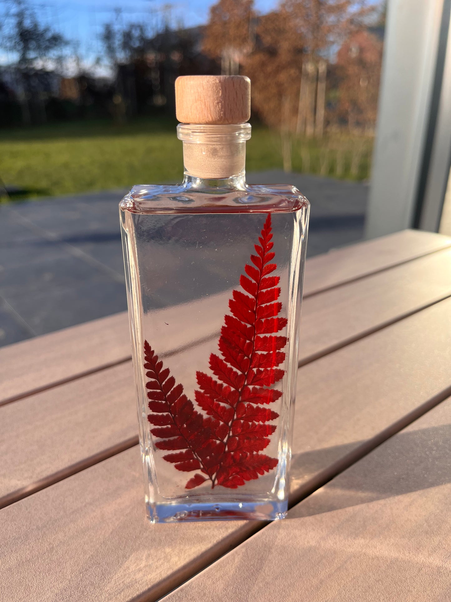 Plante immergée - Rumohra rouge