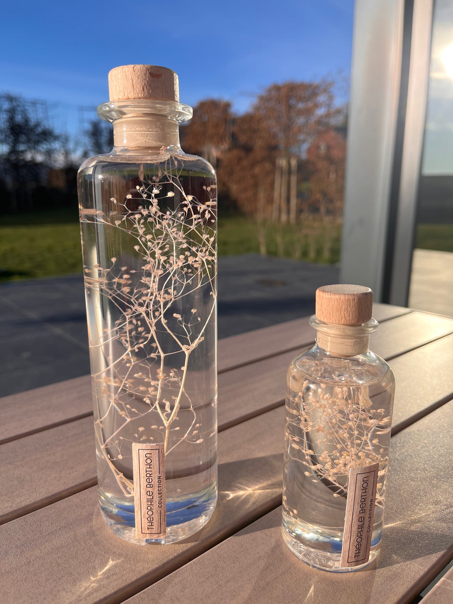 Plante immergée - Gypsophile Rose