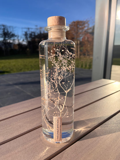 Plante immergée - Gypsophile Rose