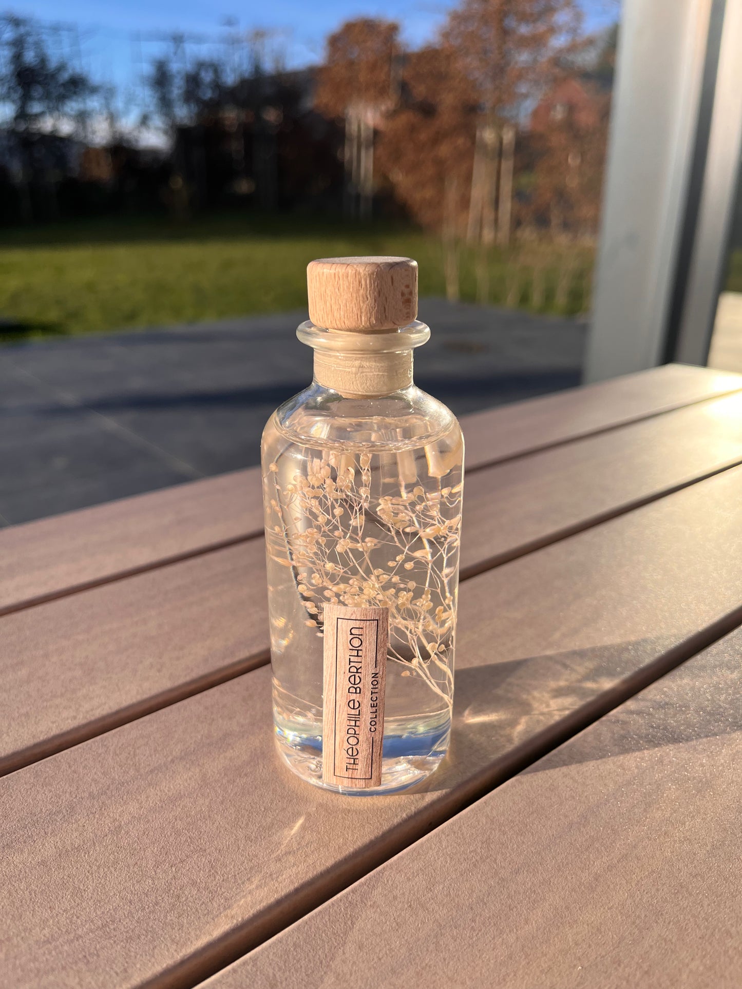 Plante immergée - Gypsophile Rose