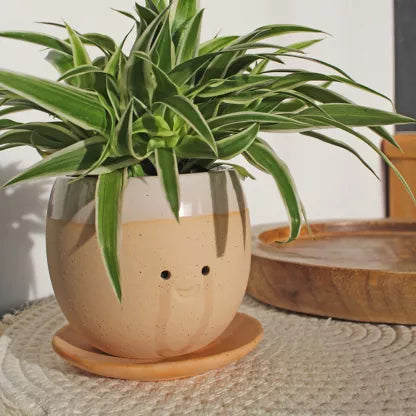 Pot de fleurs en céramique "Crying Pot"