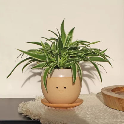 Pot de fleurs en céramique "Crying Pot"