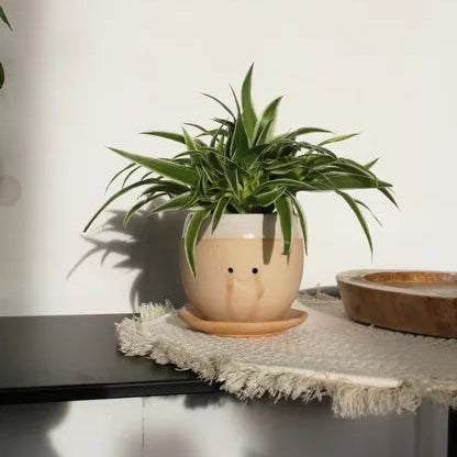 Pot de fleurs en céramique "Crying Pot"