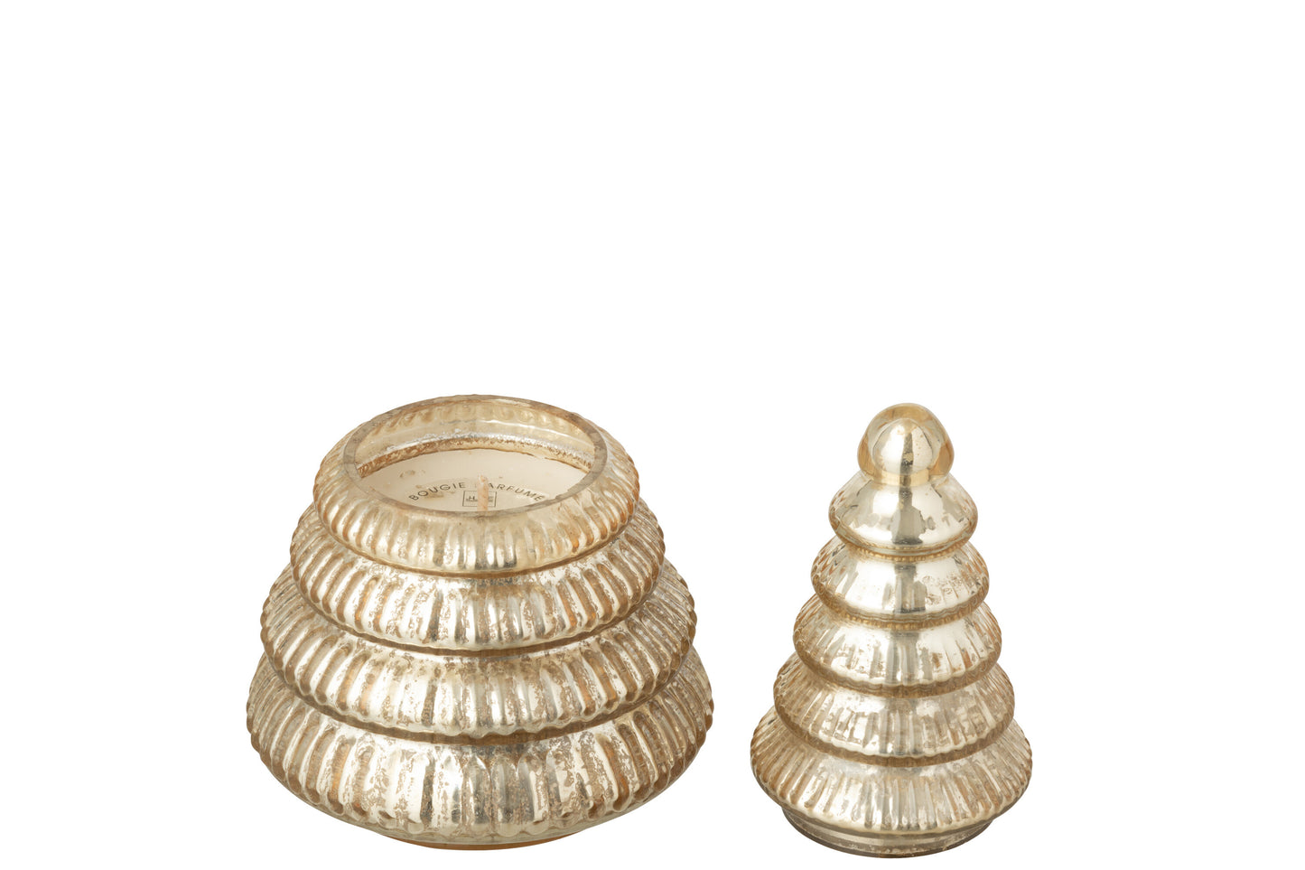 Bougie parfumée arbre côtelé