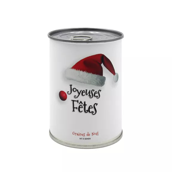 Kit à semer "Joyeuses Fêtes"