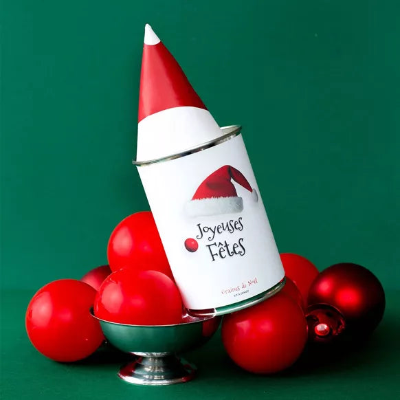 Kit à semer "Joyeuses Fêtes"