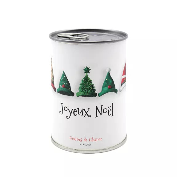 Kit à semer "Joyeux Noël"