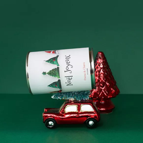 Kit à semer "Joyeux Noël"