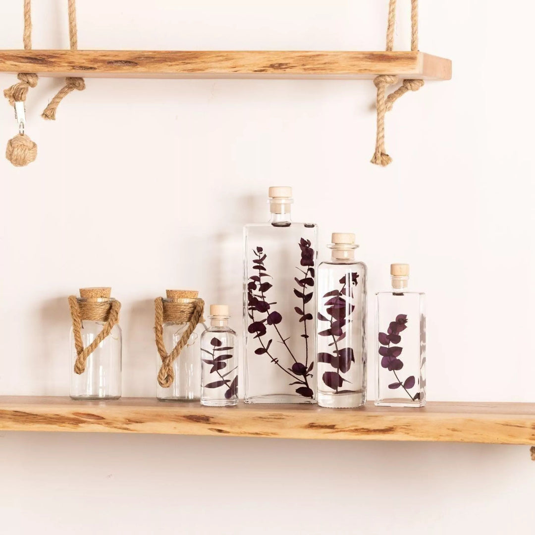 Plante immergée - Eucalyptus violet