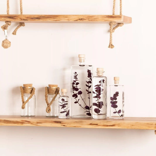 Plante immergée - Eucalyptus violet