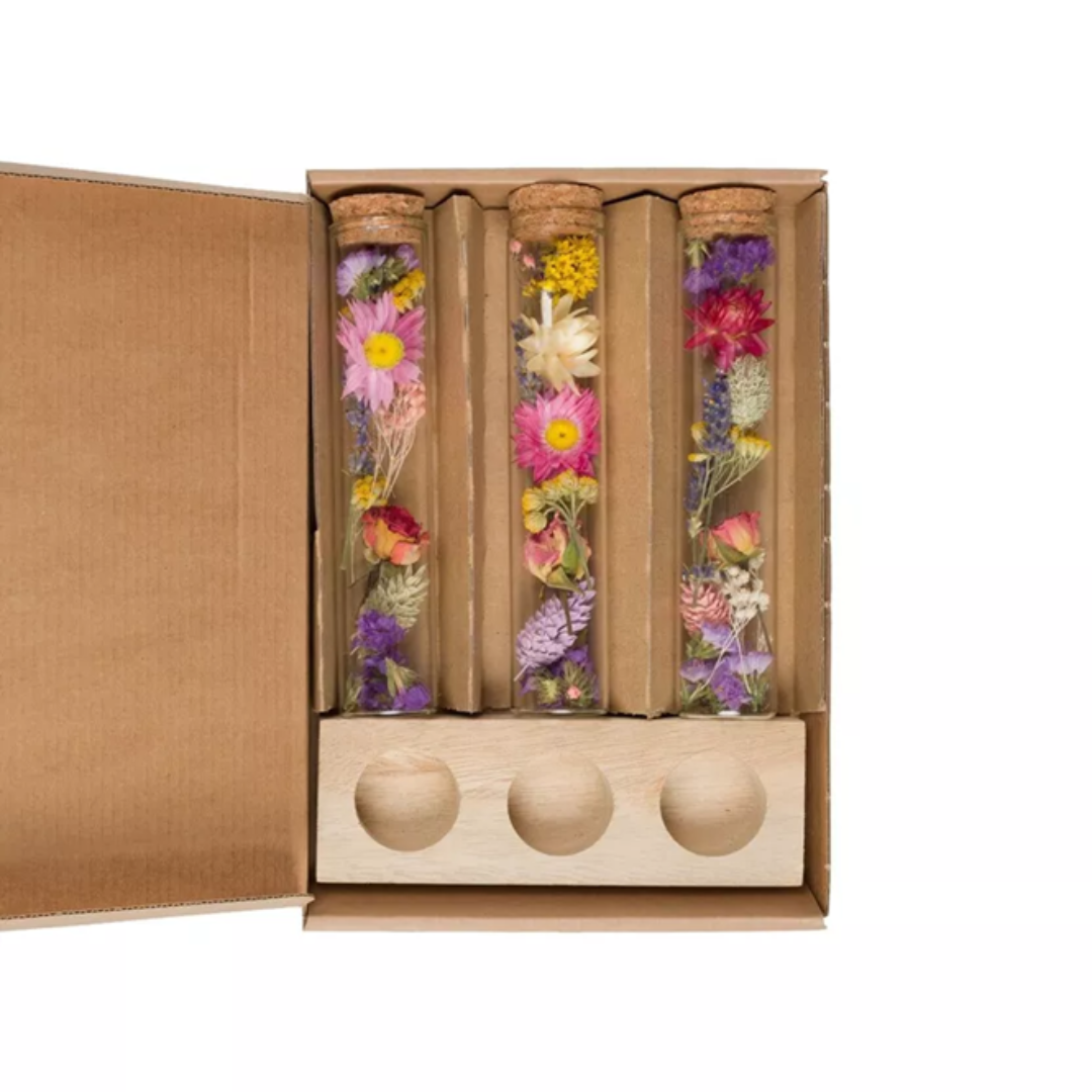 Fleurs séchées - Grand coffret cadeau