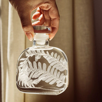 Plante immergée - Fougère cuir blanche