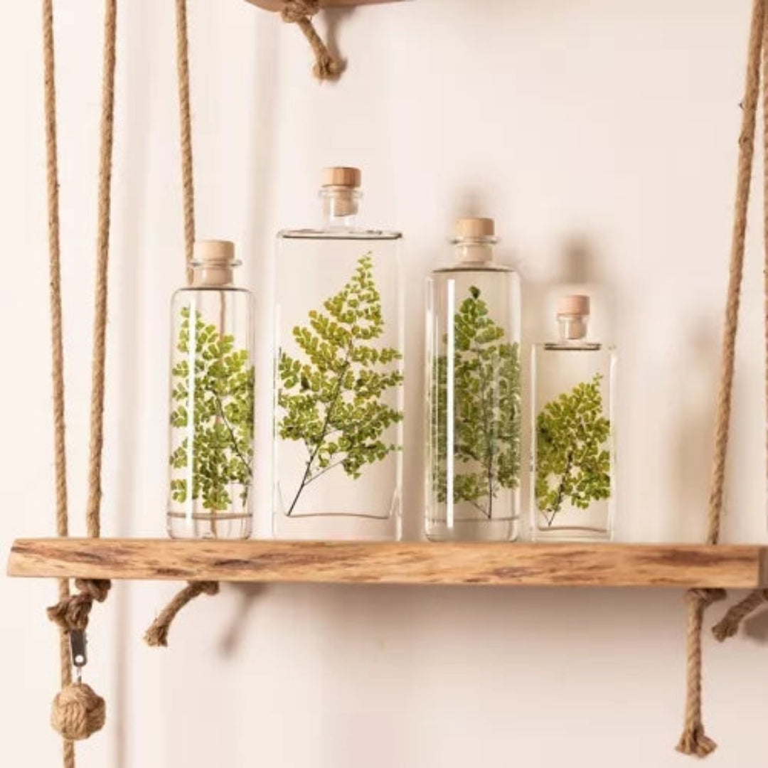 Plante immergée - Fougère Luthi verte