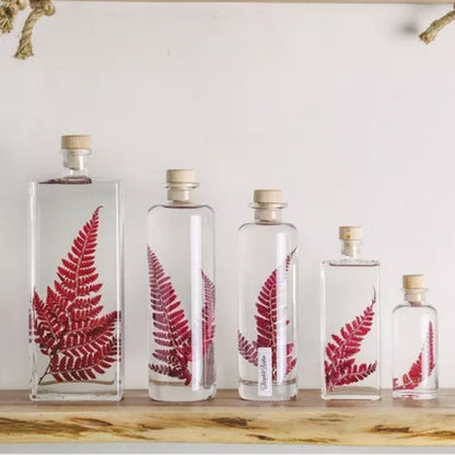 Plante immergée - Rumohra rouge