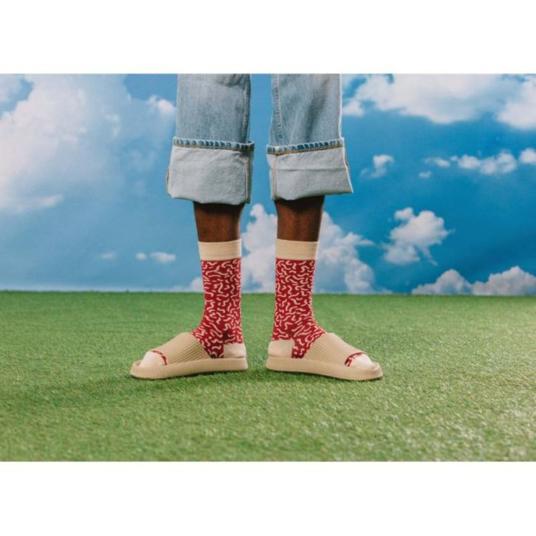 EMS | Salami | Adulte