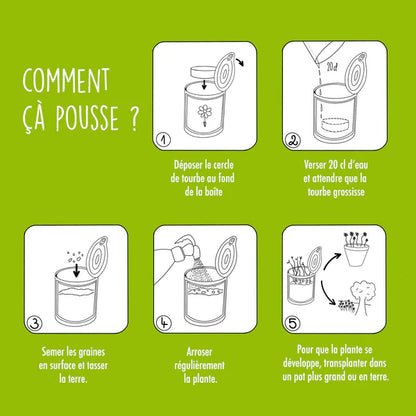 Kit à semer "Joyeuses Fêtes"